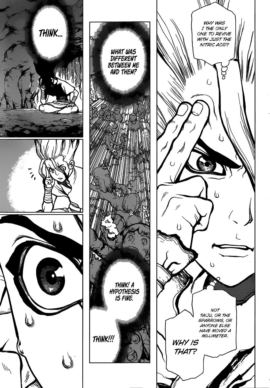 Dr.Stone, Chapter 14  Things Believed In image 13