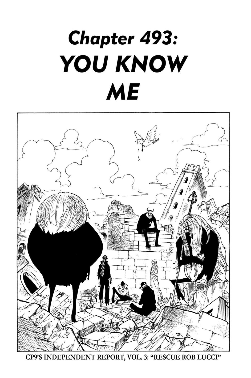 One Piece, Chapter 493 image 01