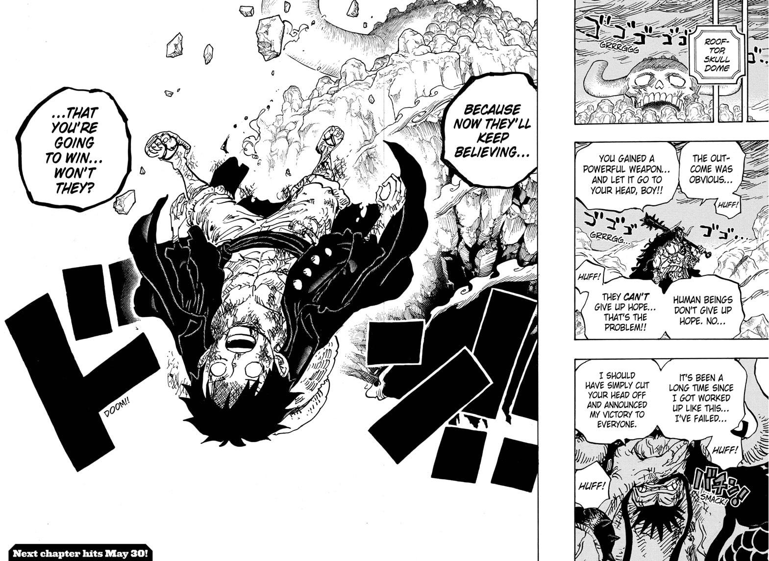 One Piece, chapter 1013 image 14
