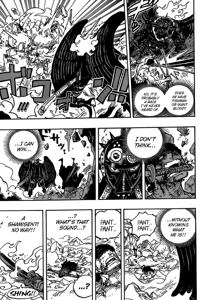 One Piece, chapter 1032 image 16