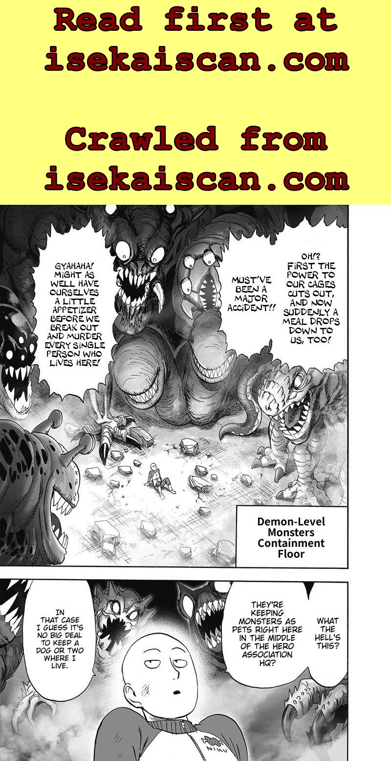 One Punch Man, Chapter 176 image 26