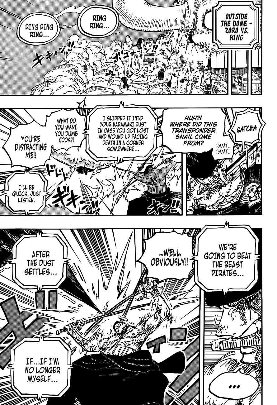 One Piece, chapter 1031 image 17