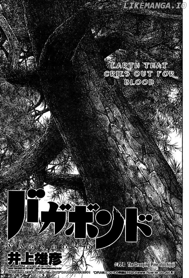 Vagabond Chapter 224 image 02