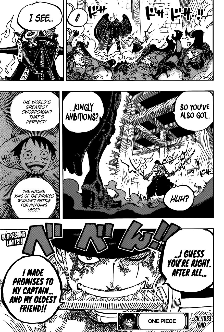 One Piece, chapter 1033 image 18