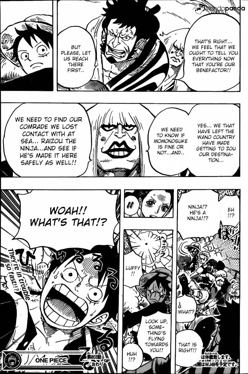 One Piece, chapter 803 image 13