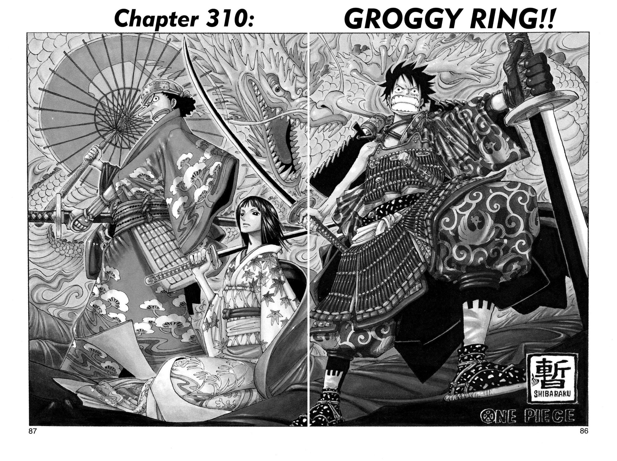 One Piece, Chapter 310 image 01