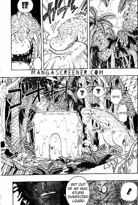 One Piece, chapter 118 image 11