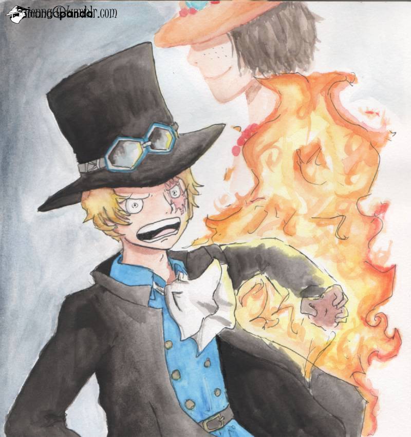 One Piece, chapter 877 image 18