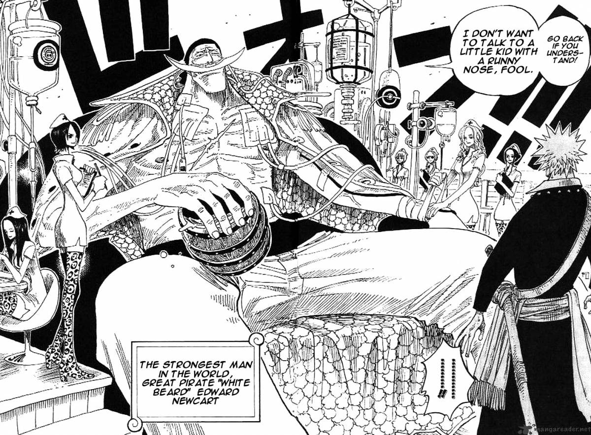 One Piece, chapter 234 image 12
