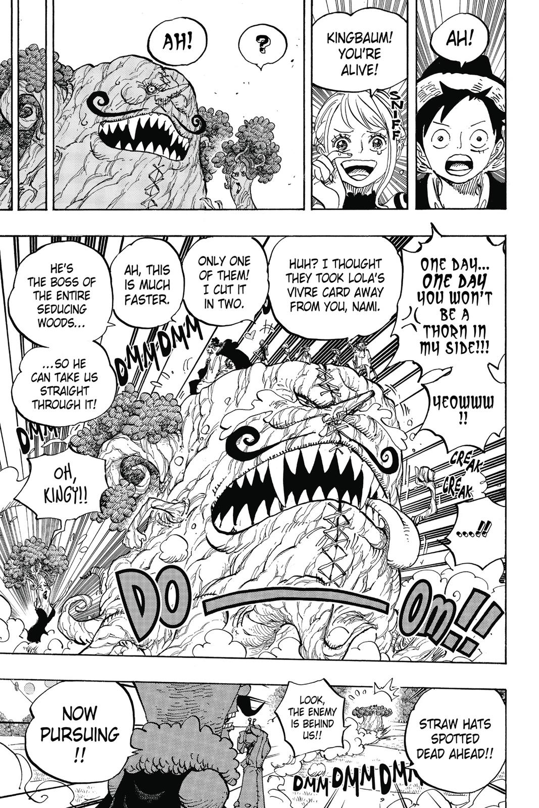 One Piece, Chapter 873 image 14