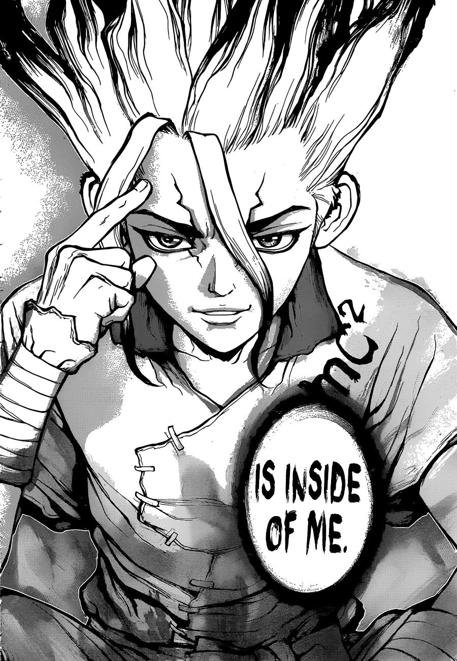 Dr.Stone, Chapter 19  The Location of 2,000,000 Years image 17