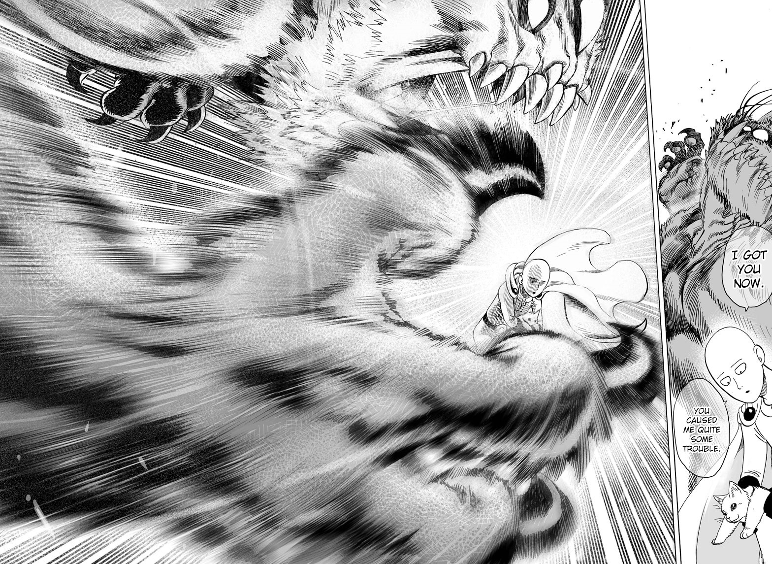 One Punch Man, Chapter 40.1 Lost Cat image 28
