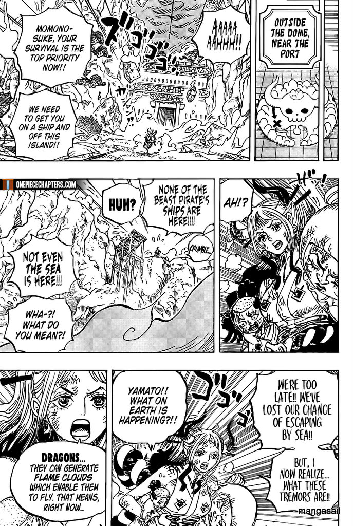 One Piece, chapter 997 image 16