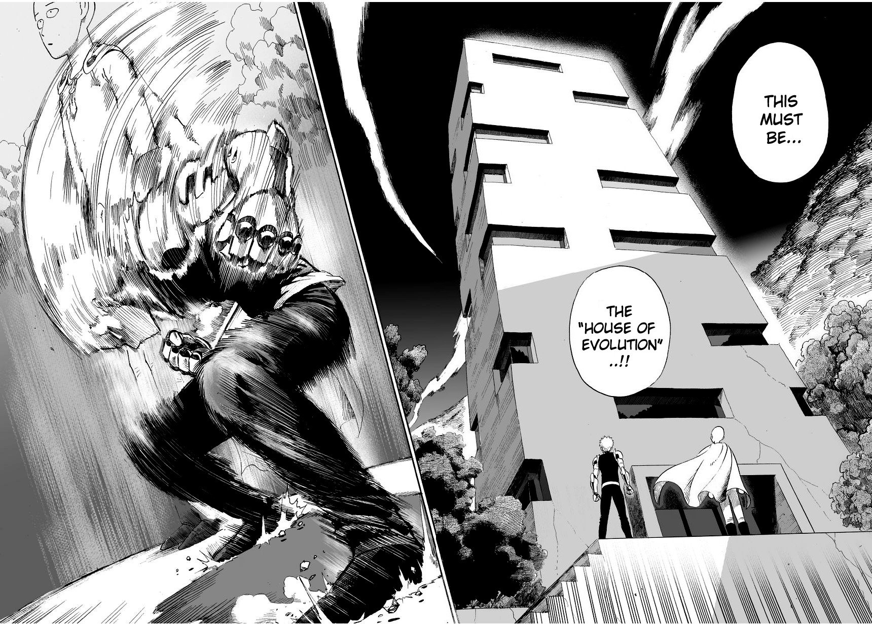 One Punch Man, Chapter 9 - House of Evolution image 24