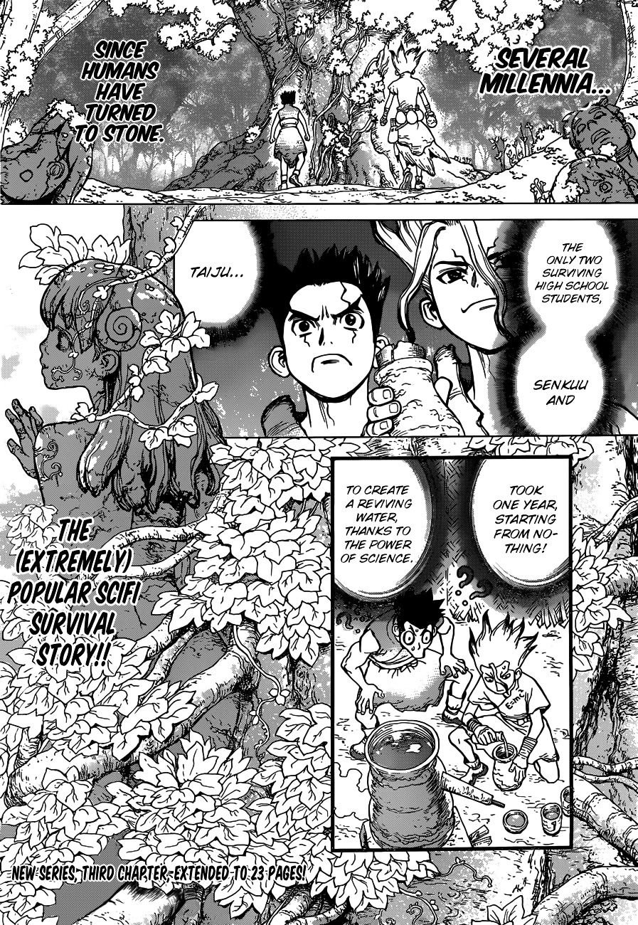Dr.Stone, Chapter 3  King of the Stone World image 01