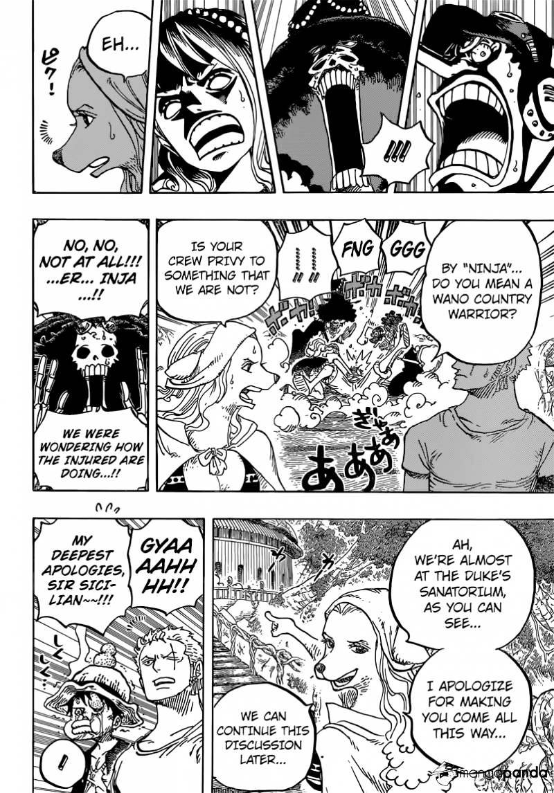 One Piece, chapter 808 image 13