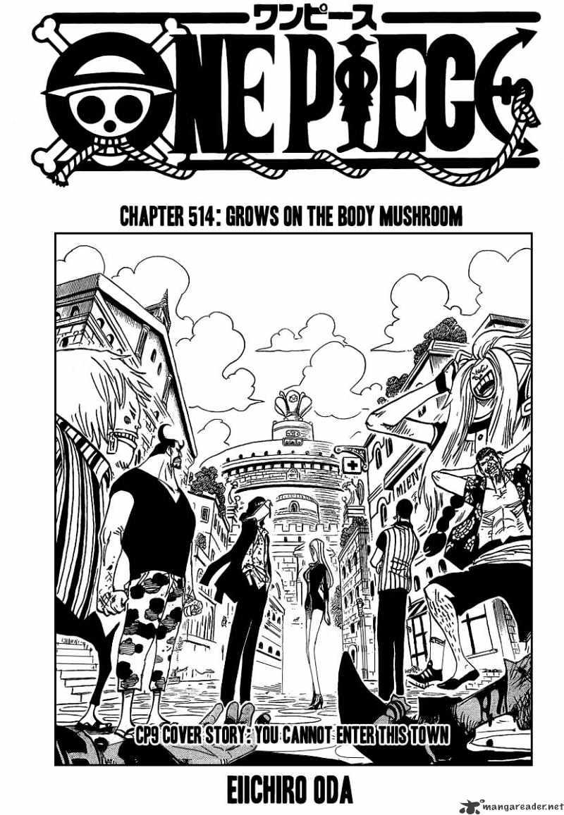 One Piece, chapter 514 image 01