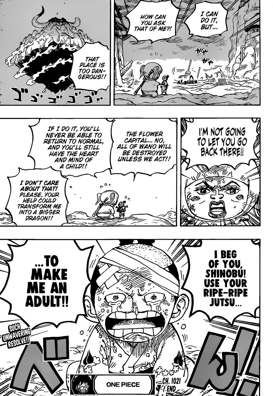 One Piece, chapter 1021 image 17