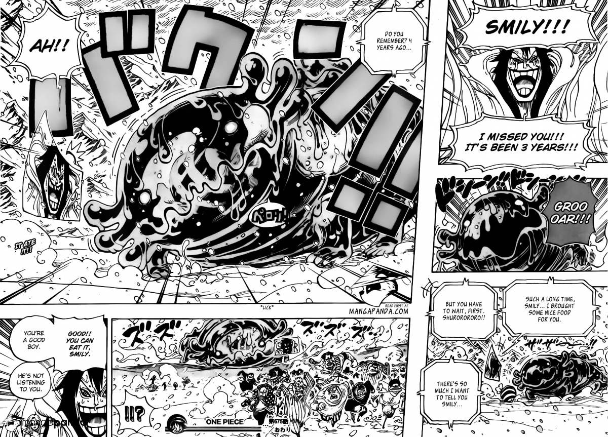 One Piece, chapter 675 image 18