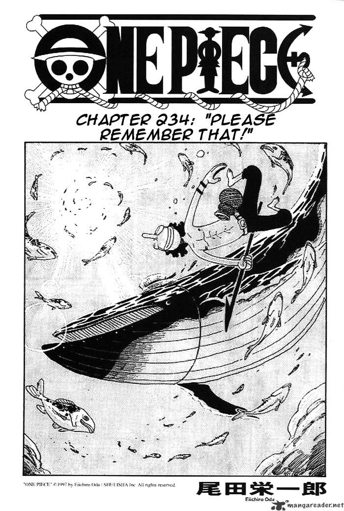 One Piece, chapter 234 image 01