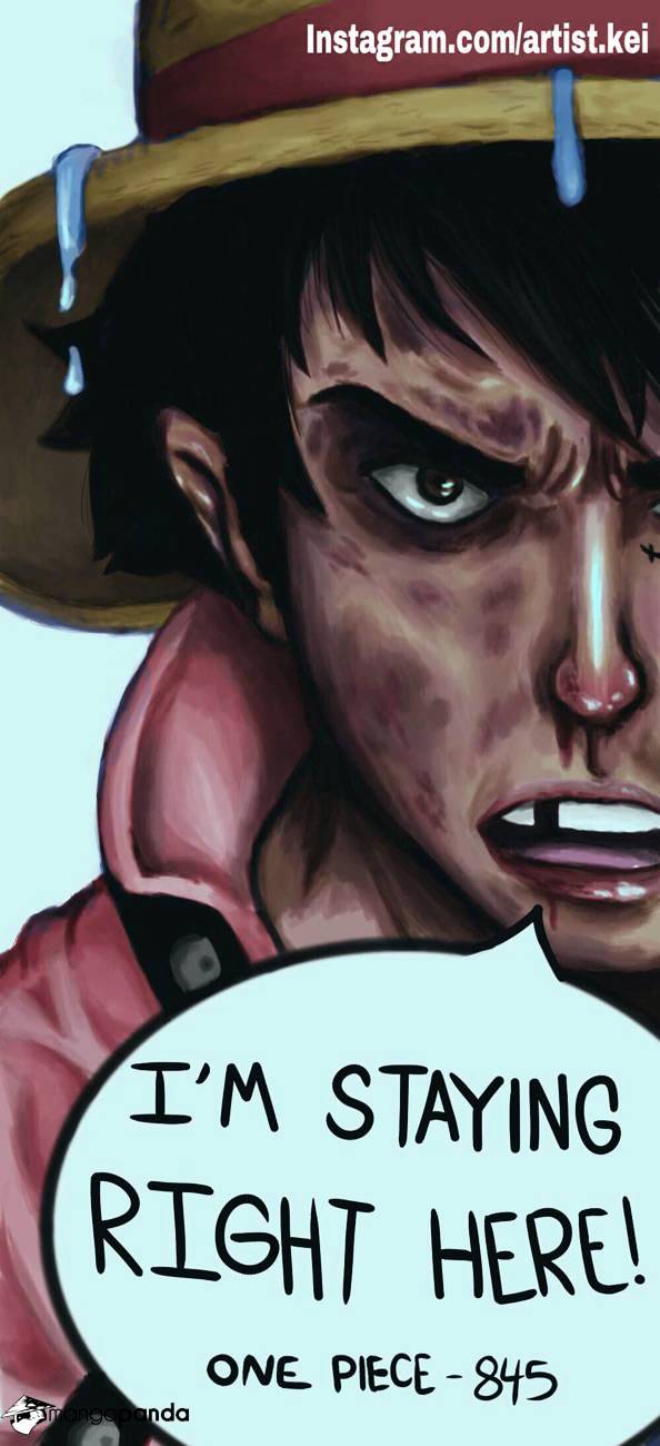One Piece, chapter 846 image 21