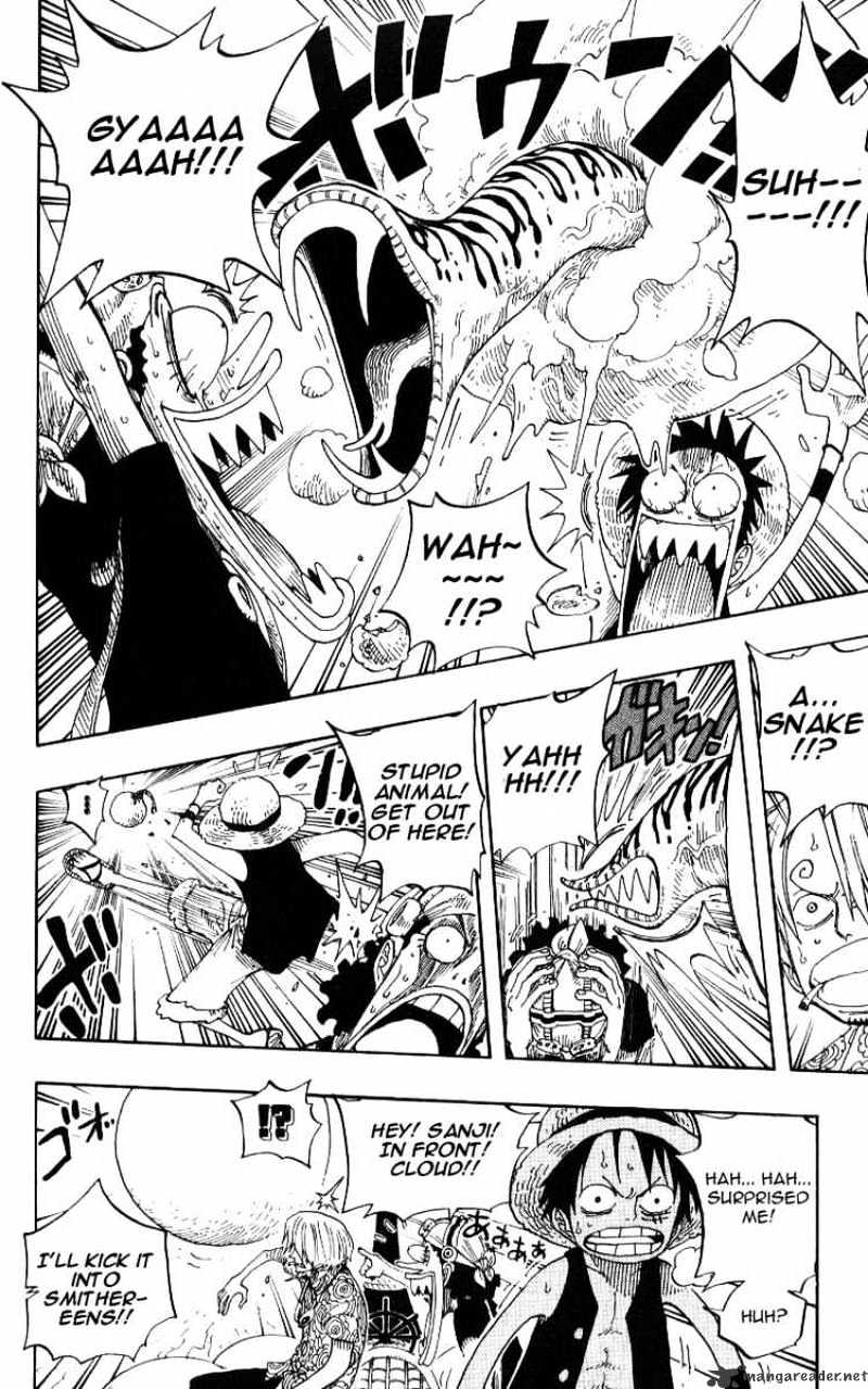 One Piece, chapter 246 image 10
