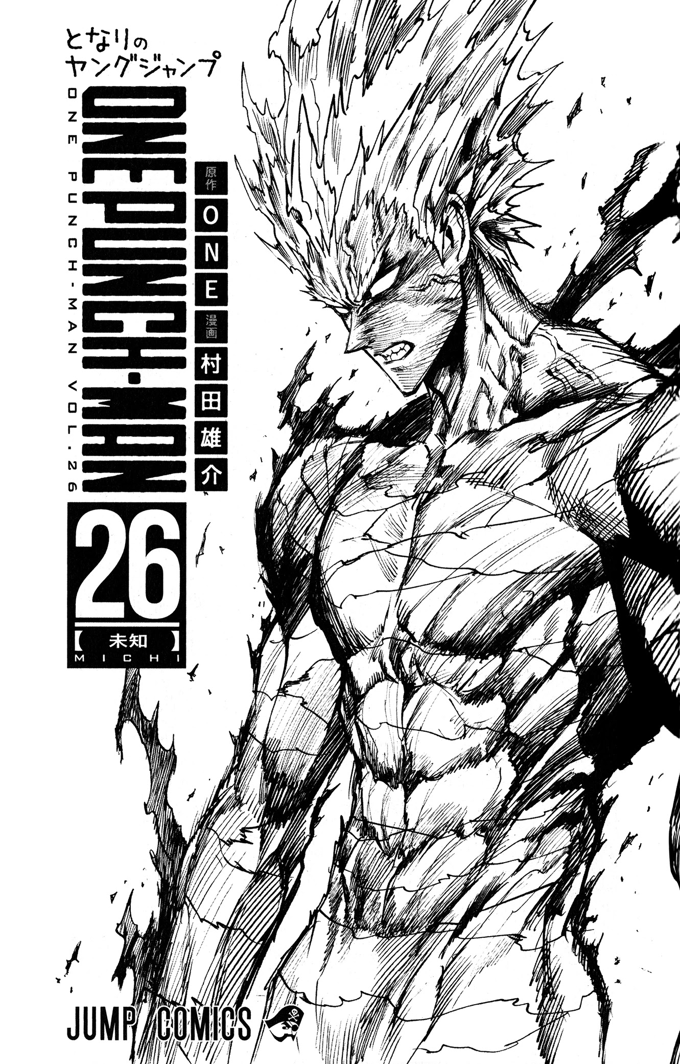 One Punch Man, Chapter 167.5 image 11
