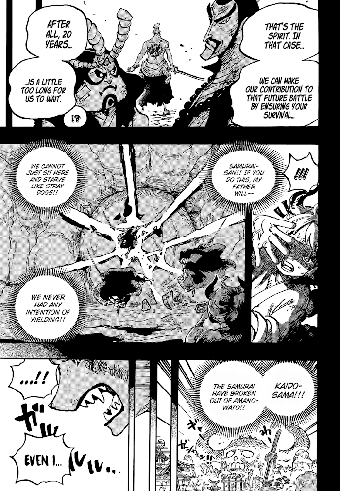 One Piece, chapter 1024 image 18