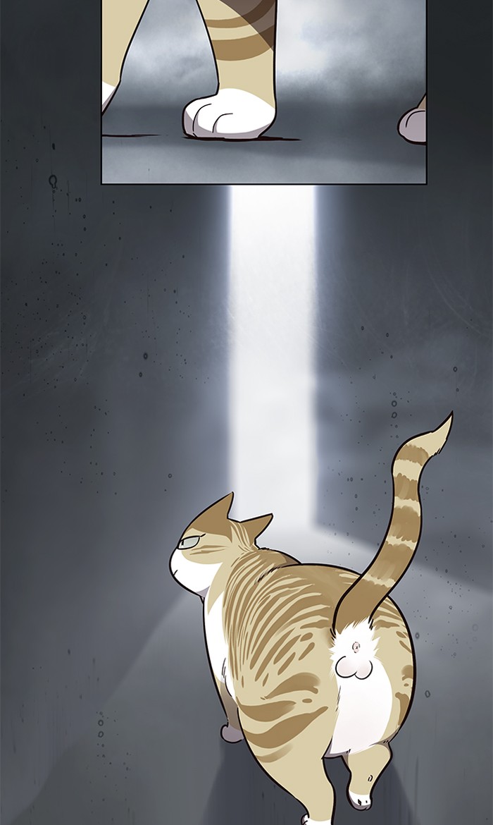 Eleceed, Chapter 56 image 02