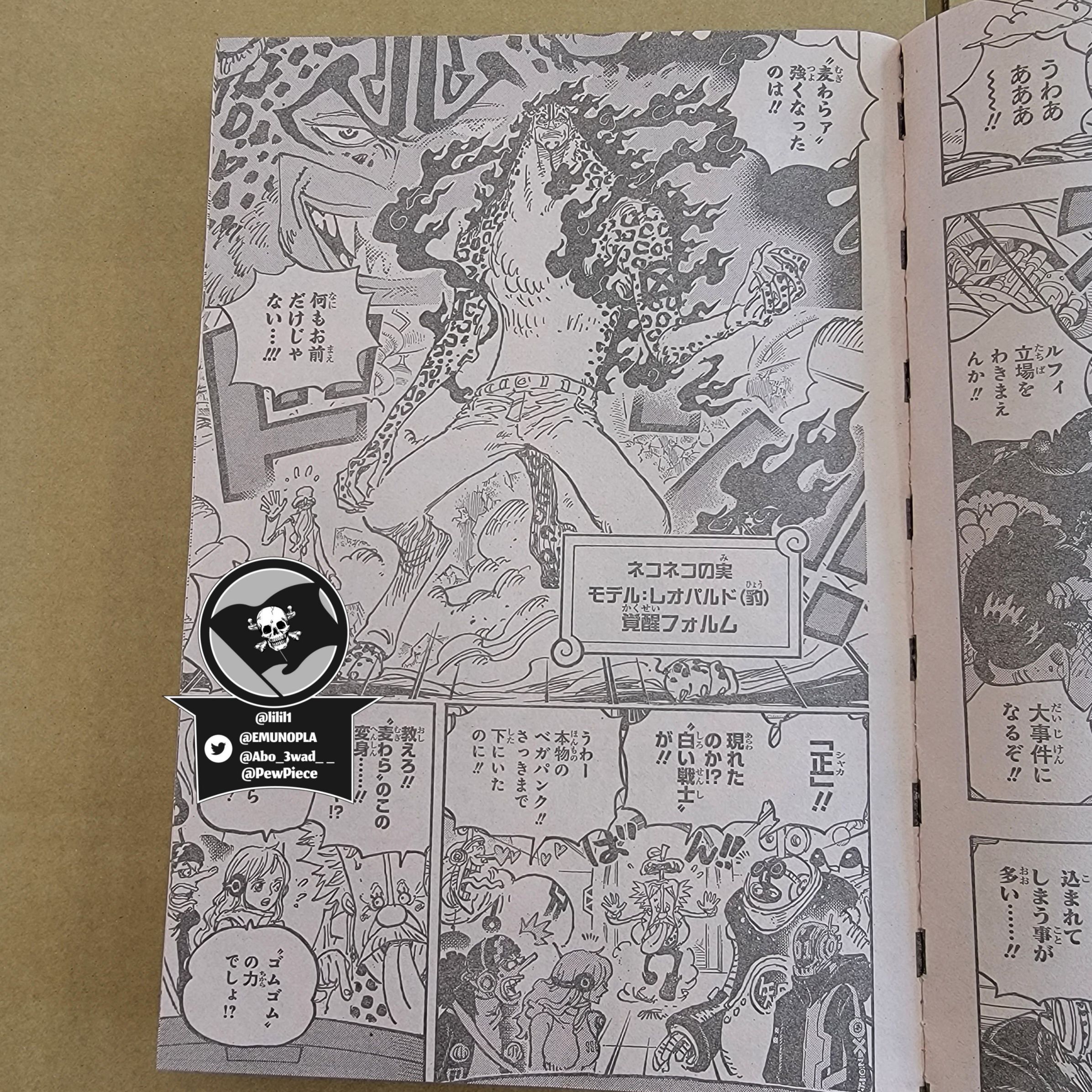 One Piece, chapter 1069 image 09