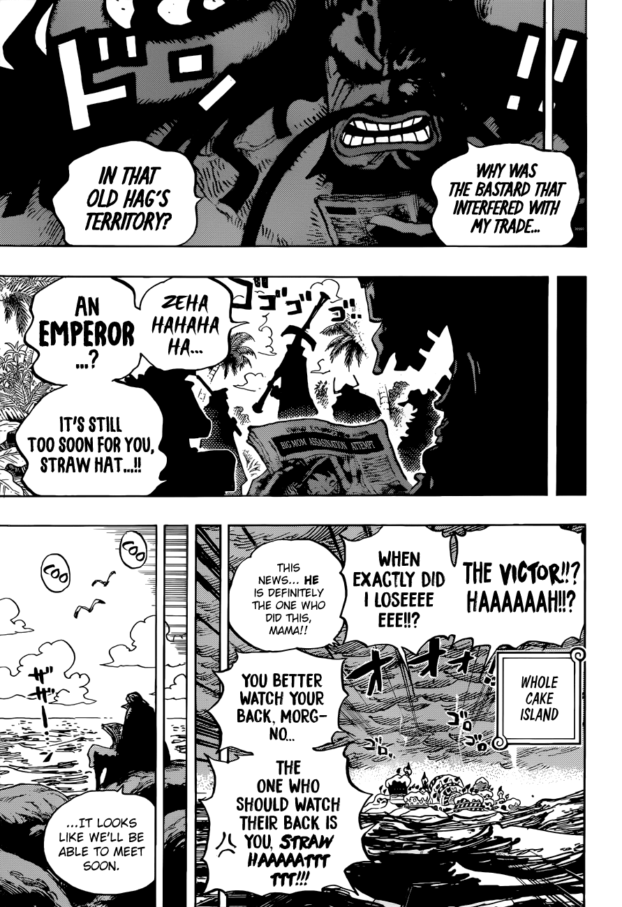 One Piece, chapter 903 image 17