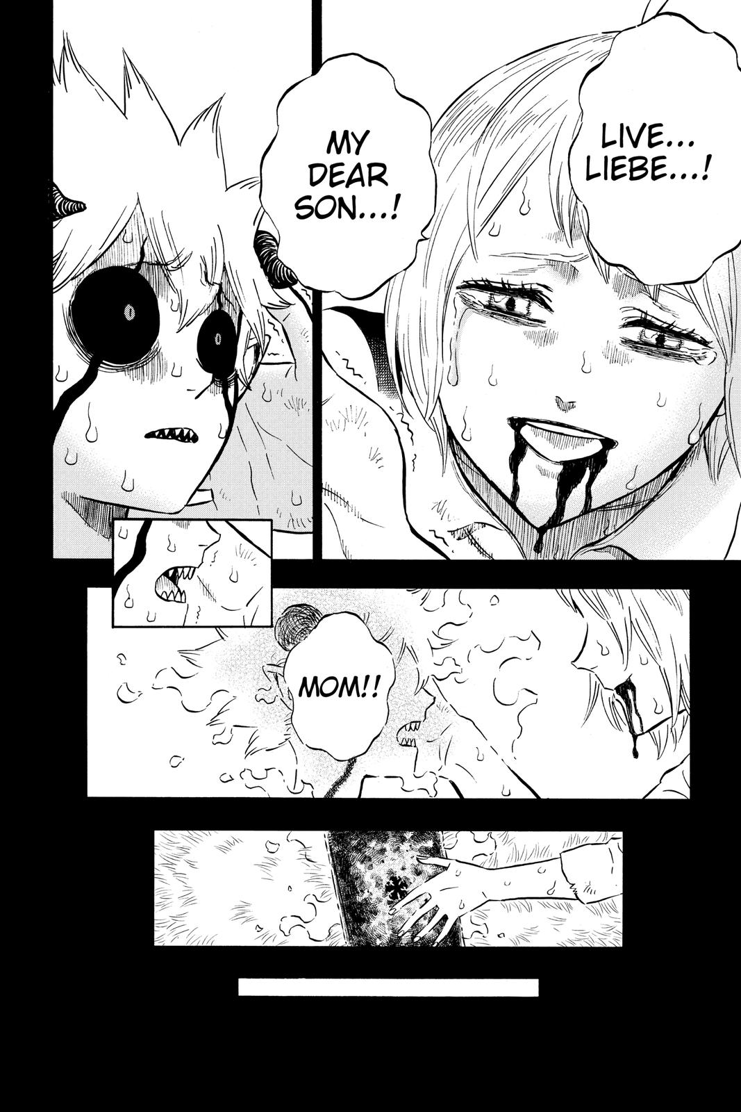 Black Clover,  Page 268 image 13