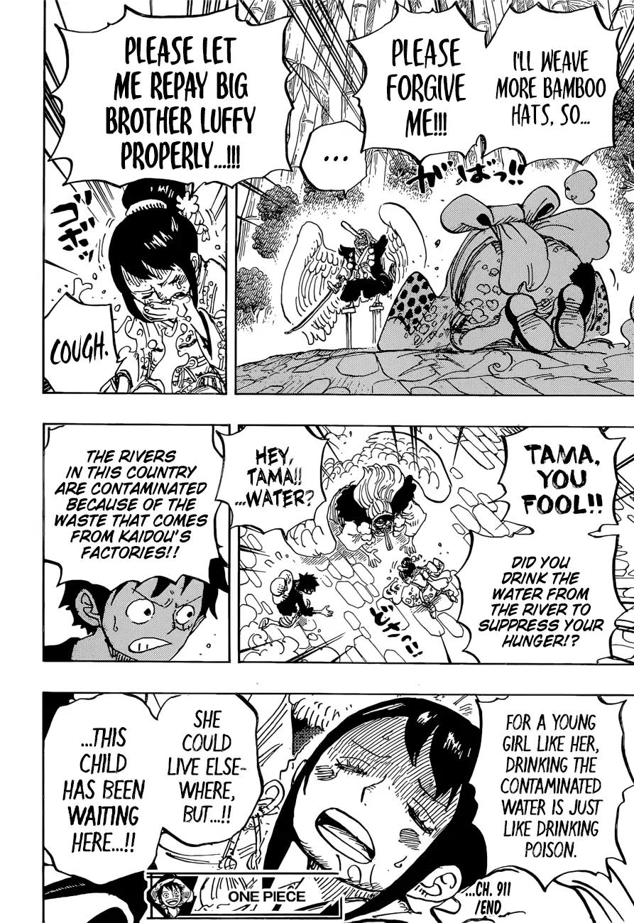 One Piece, chapter 911 image 17