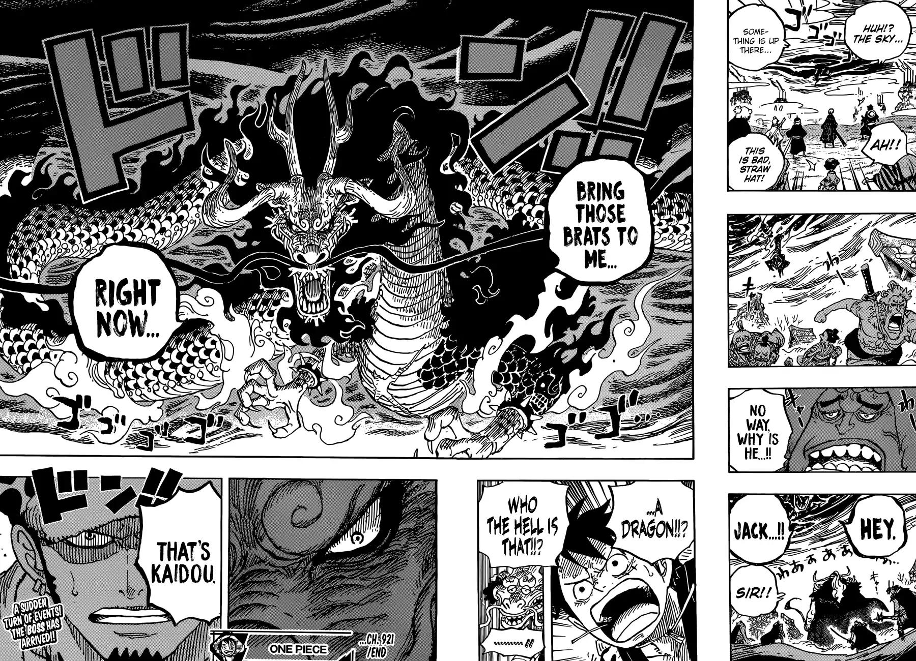 One Piece, chapter 921 image 18