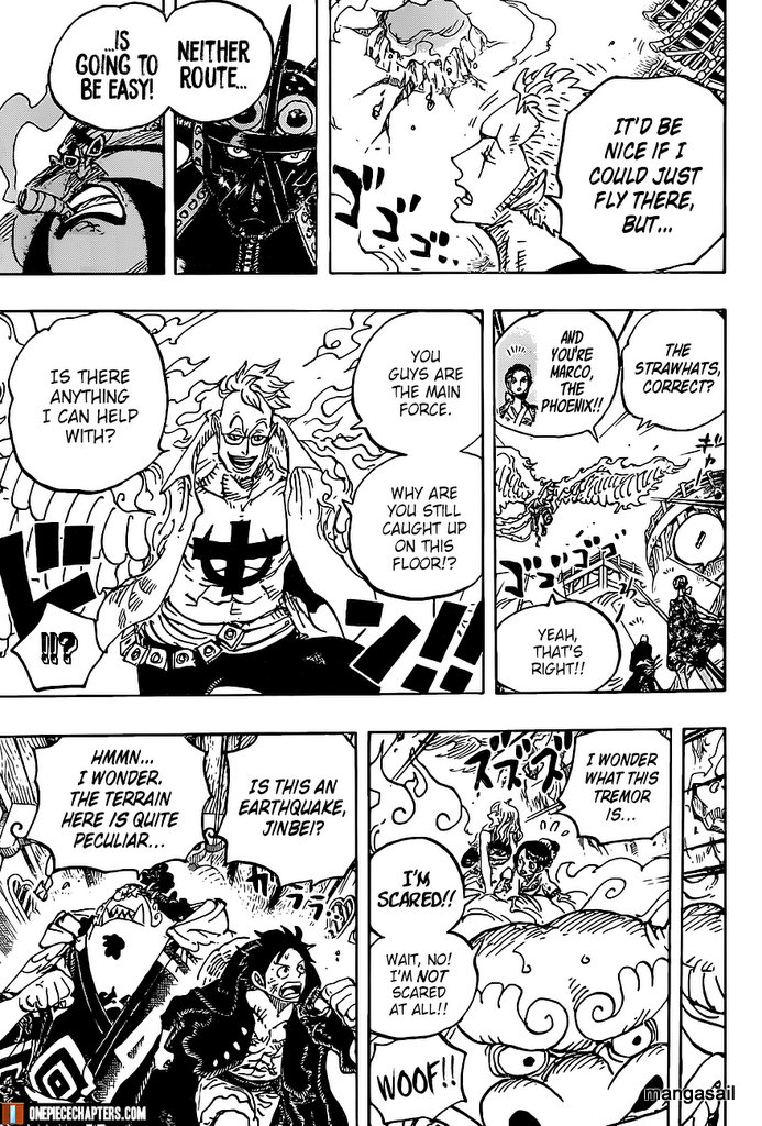 One Piece, chapter 997 image 14