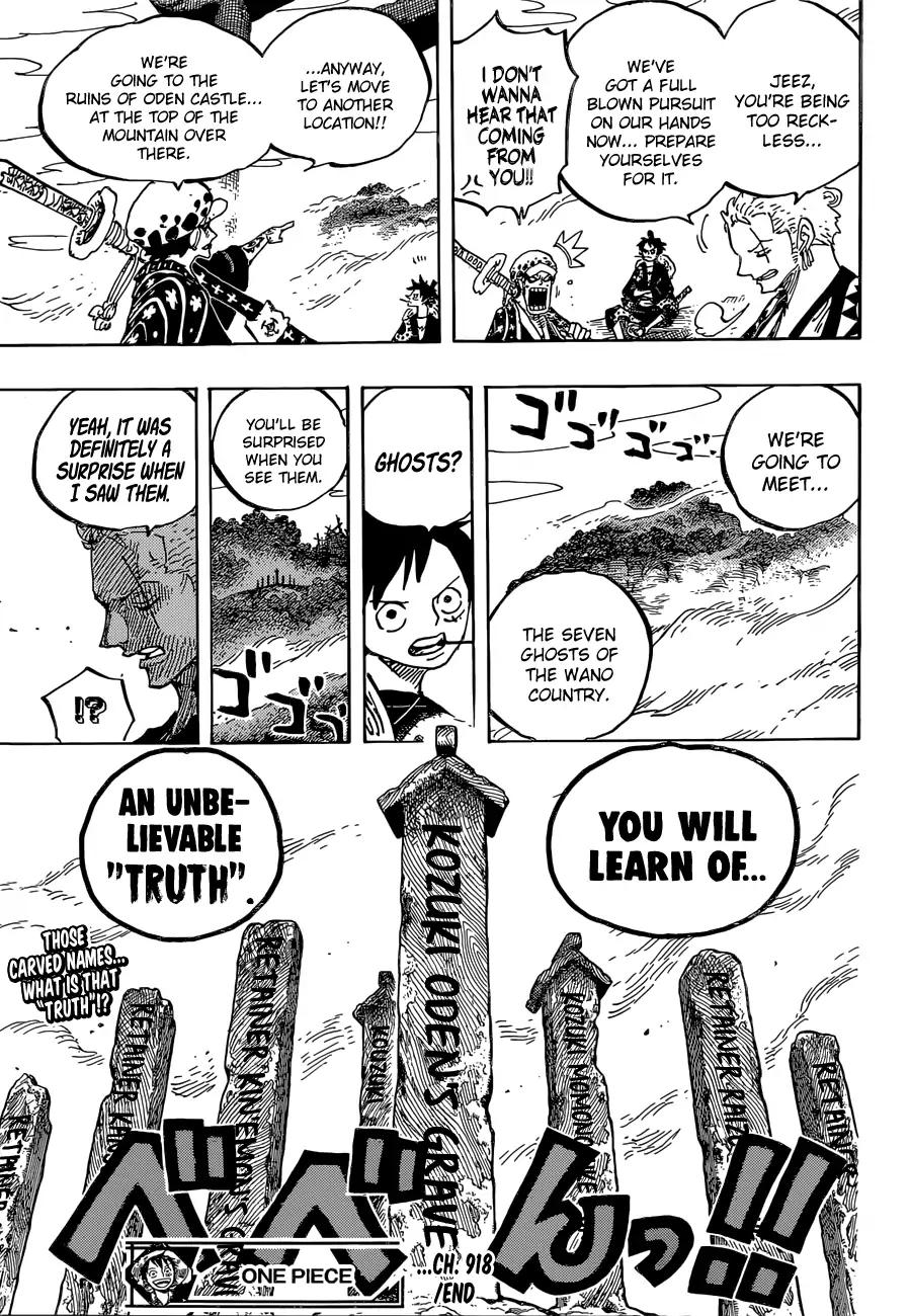 One Piece, chapter 918 image 17