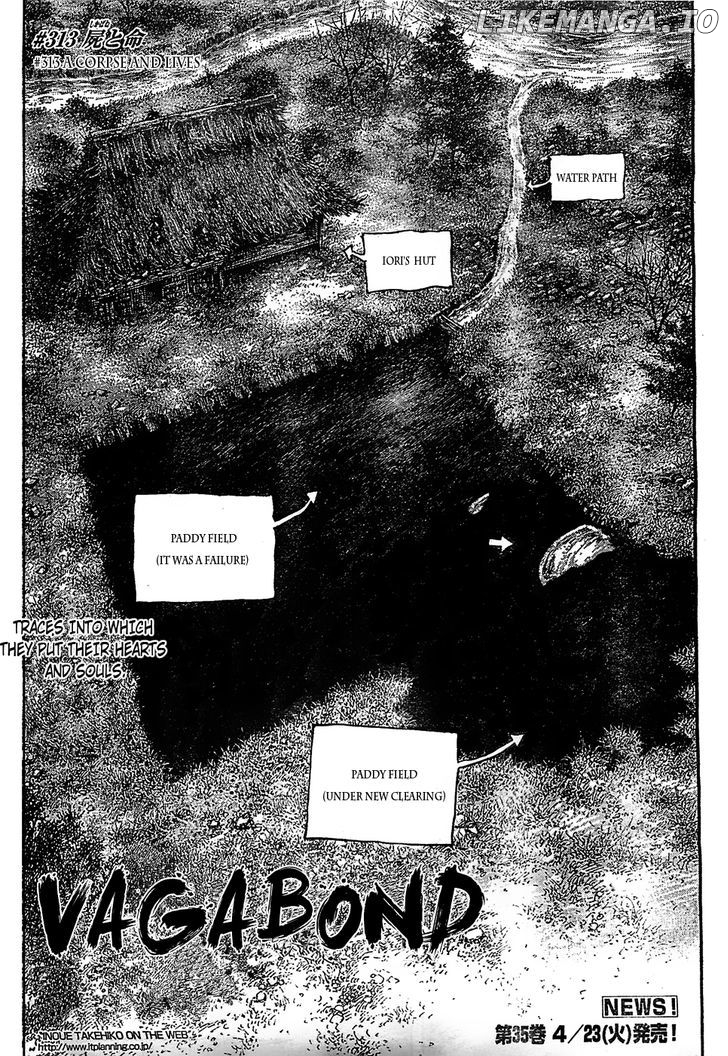 Vagabond, Chapter 313 image 03