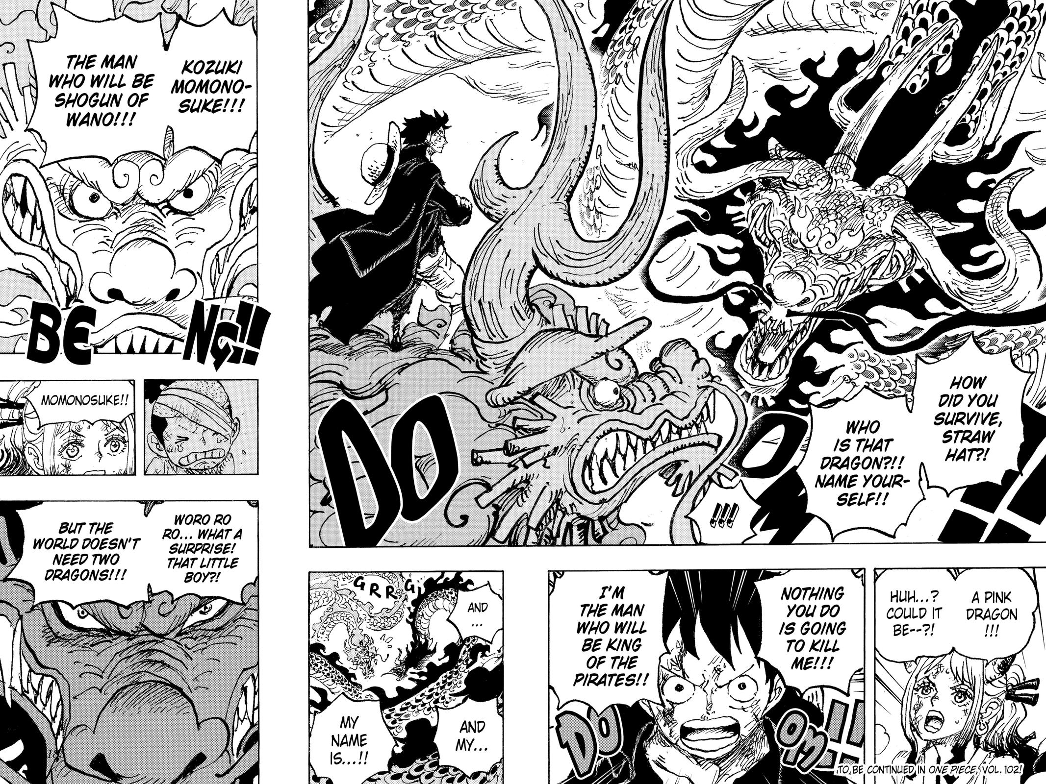 One Piece, Chapter 1025 image 14