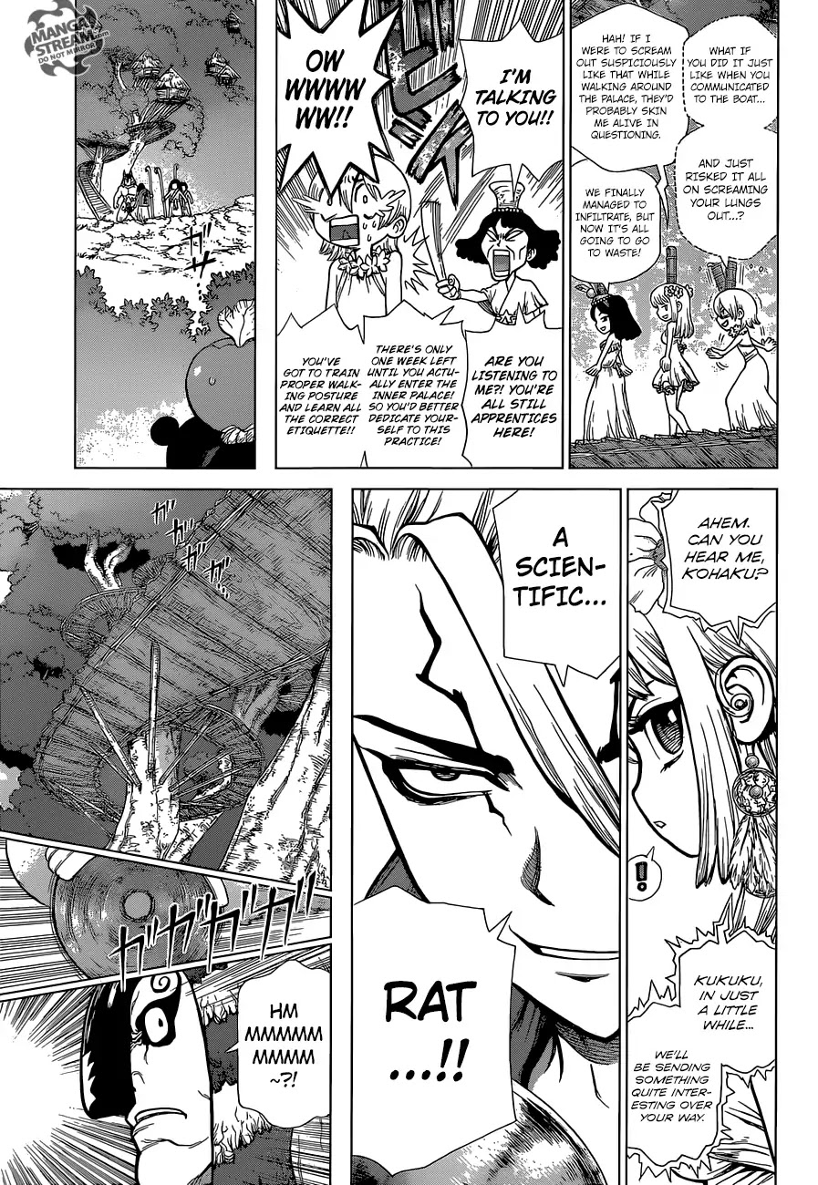 Dr.Stone, Chapter 113 The Science of Encoded Communication image 04