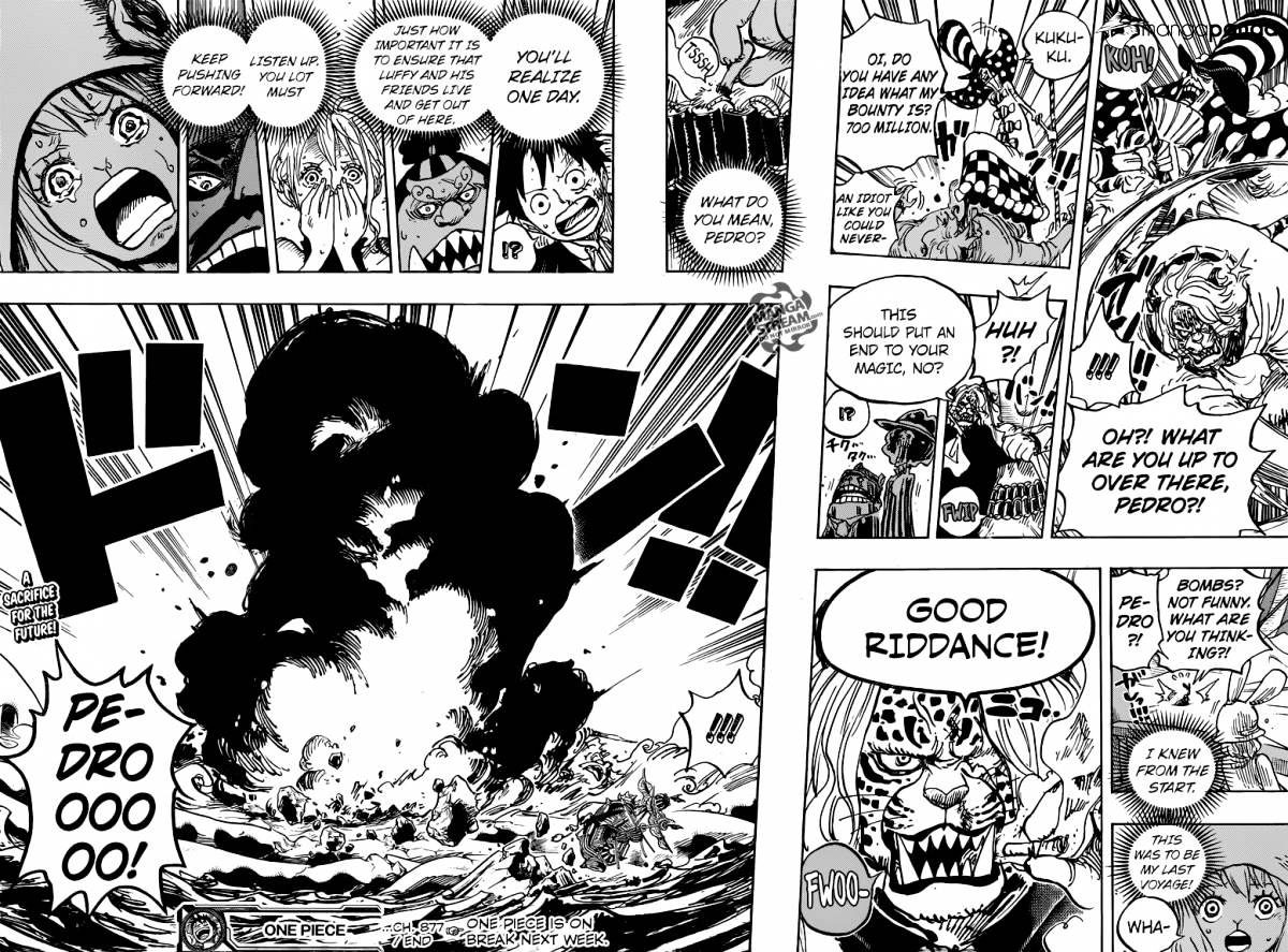 One Piece, chapter 877 image 17