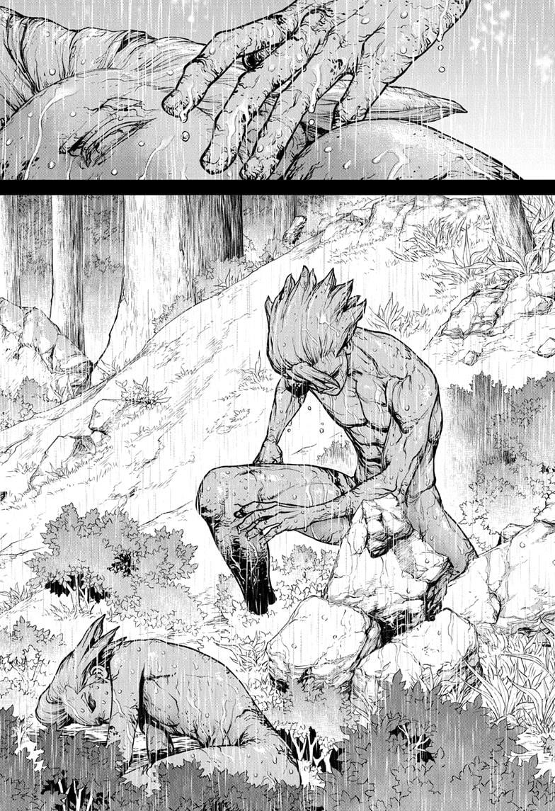 Dr.Stone, Chapter 157 image 13