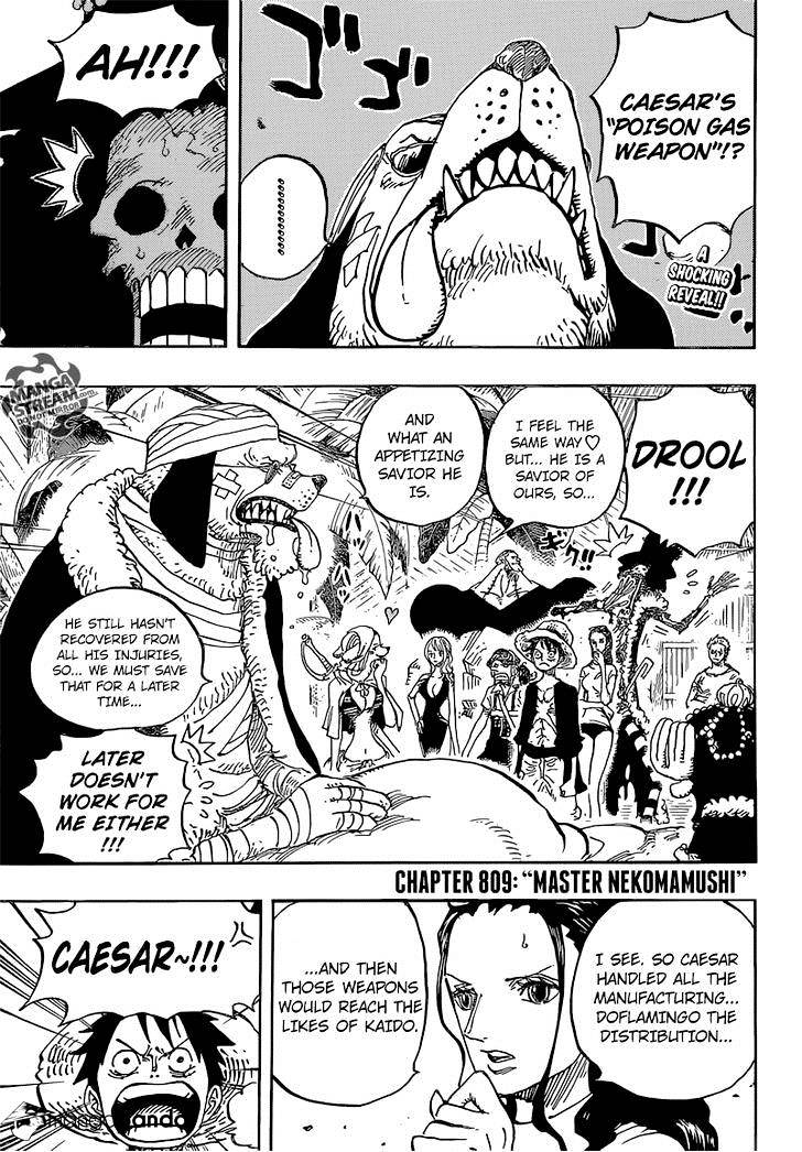 One Piece, chapter 809 image 05