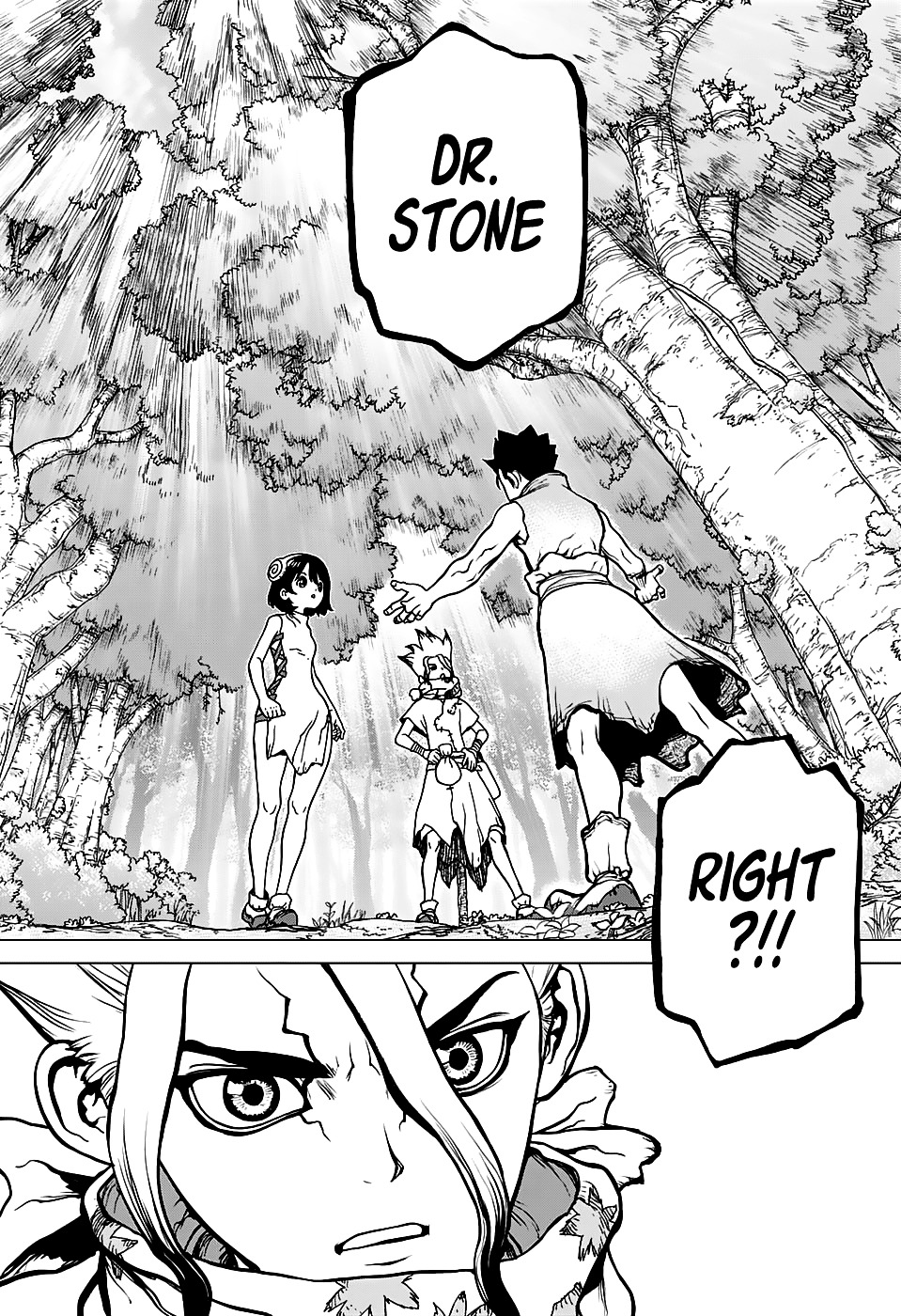 Dr.Stone, Chapter 15  The two countries of the stone world image 08