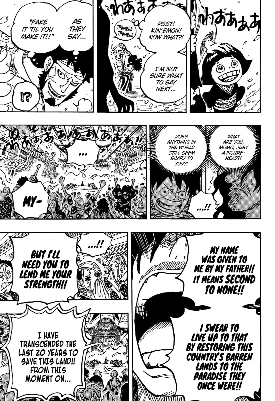 One Piece, chapter 1051 image 14