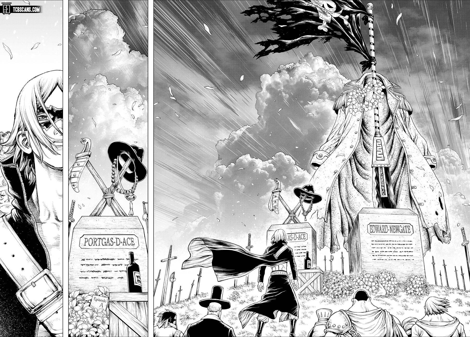 One Piece, chapter 1033.5 image 42
