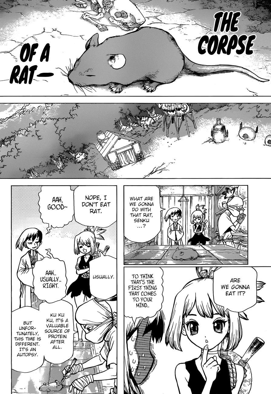 Dr.Stone, Chapter 41  Doctor Stone image 05