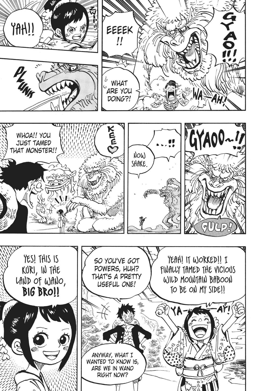 One Piece, Chapter 911 image 18