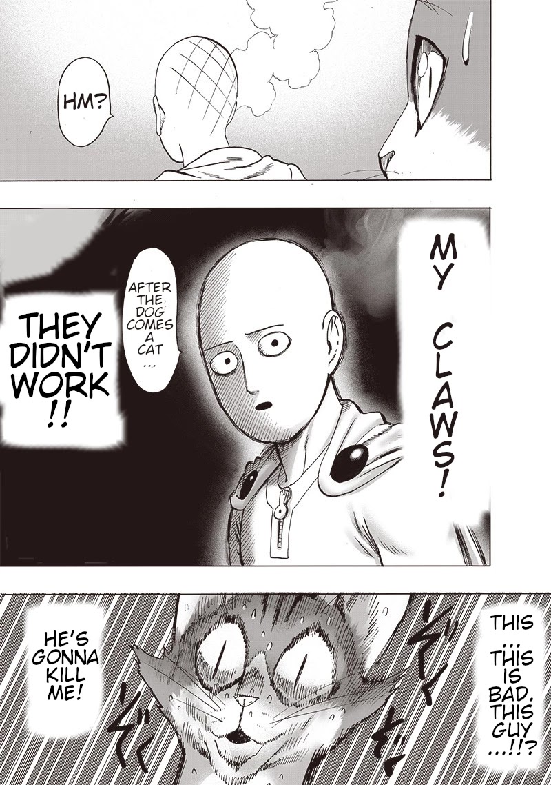 One Punch Man, Chapter 110 Right Here (Revised) image 40
