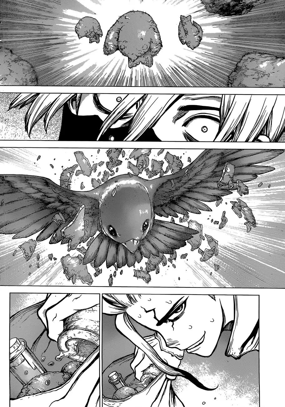 Dr.Stone, Chapter 80 image 15