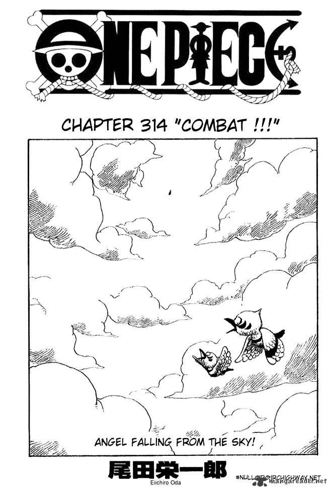 One Piece, chapter 314 image 01